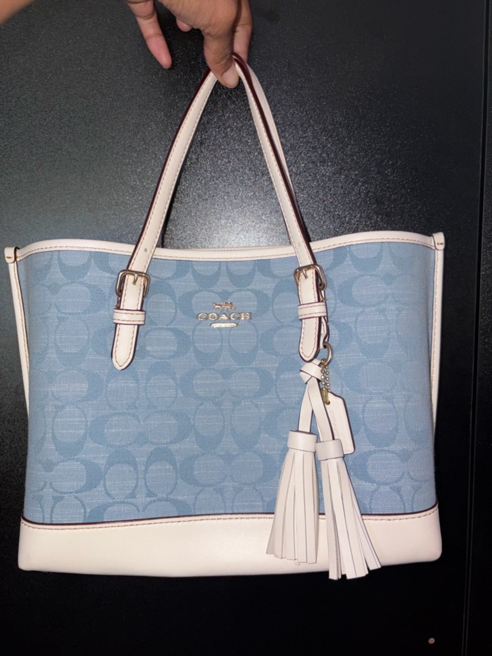 Coach Light Blue Signature Canvas Tote with White Trim and Tassels